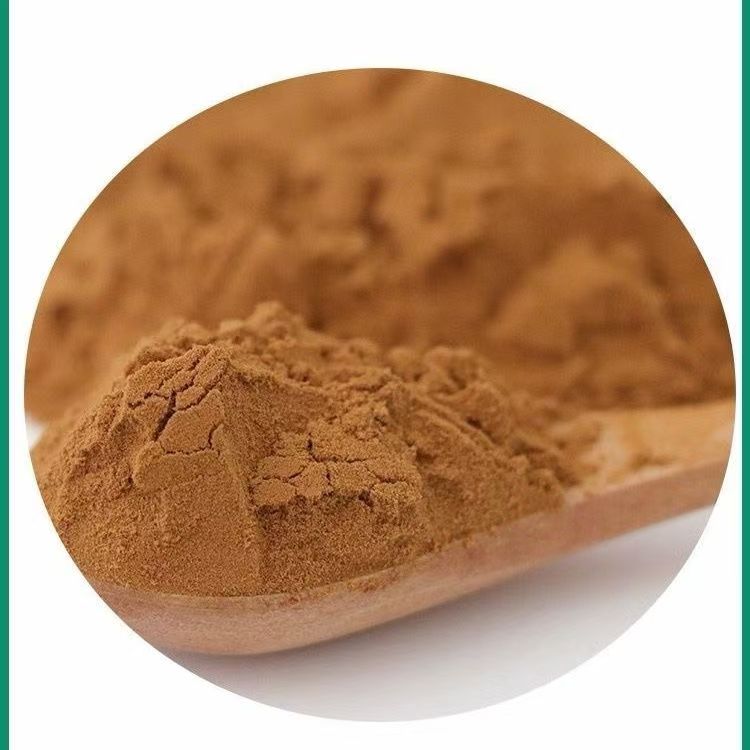 Porcini mushroom fin