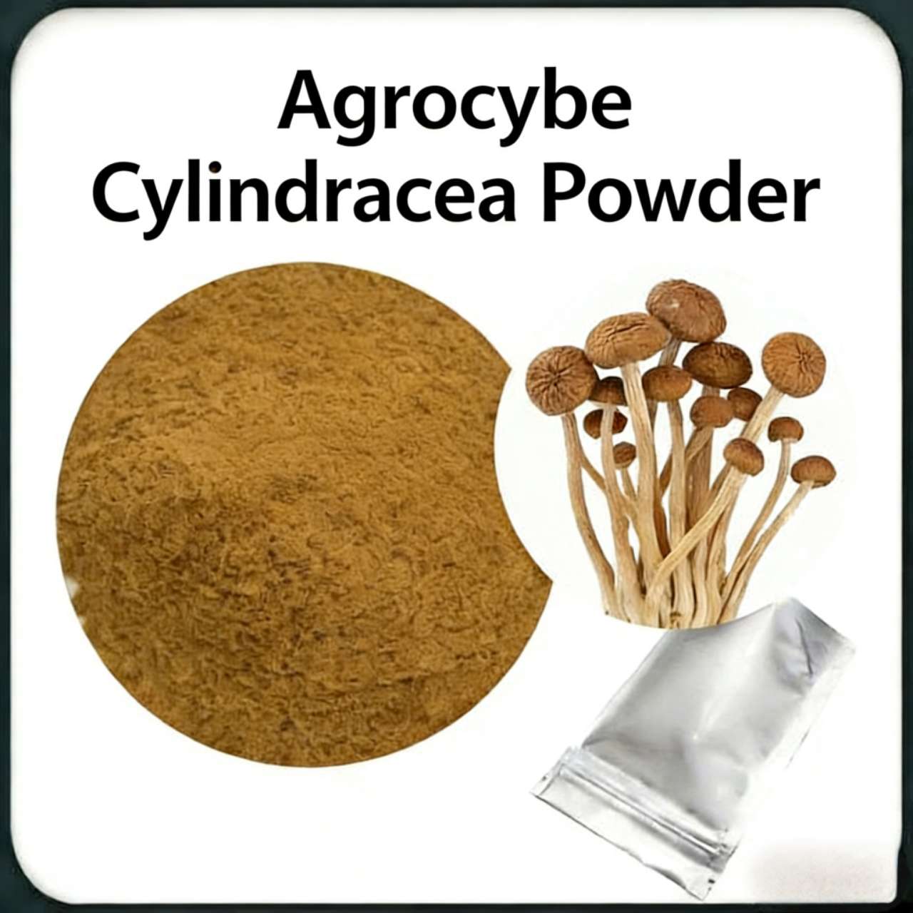 TEA TREE MUSHROOM FI