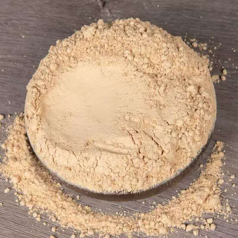 Chicken leg mushroom